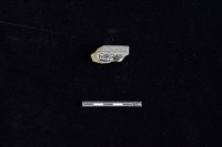 陶片藏品圖，第2張